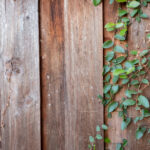 2017年熊猫杯国际青年足球锦标赛全程直播 2u7fwdf2c