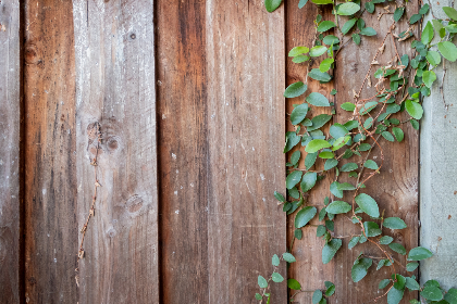 2017年熊猫杯国际青年足球锦标赛全程直播 2017年熊猫杯国际青年足球锦标赛全程直播
