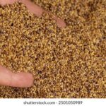 3d开奖结果第119期最新开奖号码已公布 6tb8k4