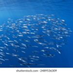 3d开奖结果第239期最新开奖号码已公布 ey077x