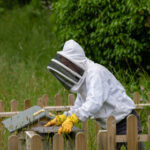 2017年法国网球公开赛央视全程直播精彩对决 pnvr7kh0