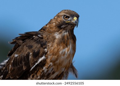 2017温网公开赛精彩对决全程高清直播 2017温网公开赛精彩对决全程高清直播